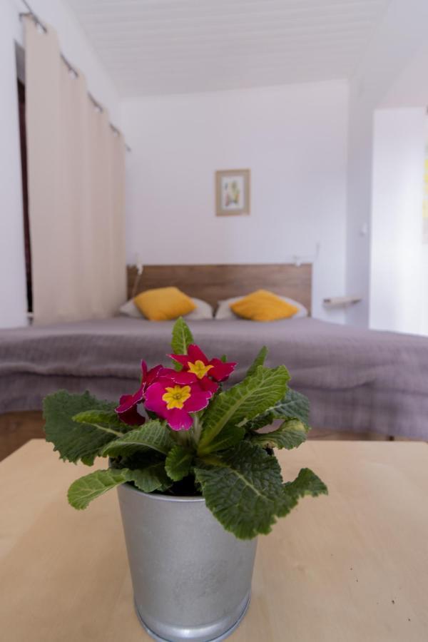 Hill Apartman - Maksimir Rebro Zagreb Ngoại thất bức ảnh